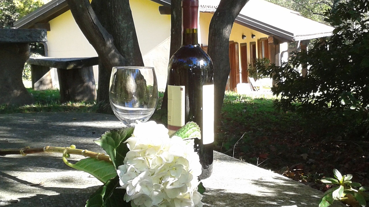 Photo of Outdoor in Bracchio