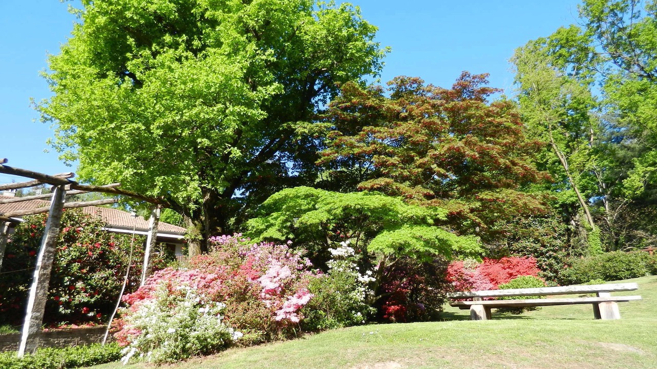 Photo of Outdoor in Bracchio