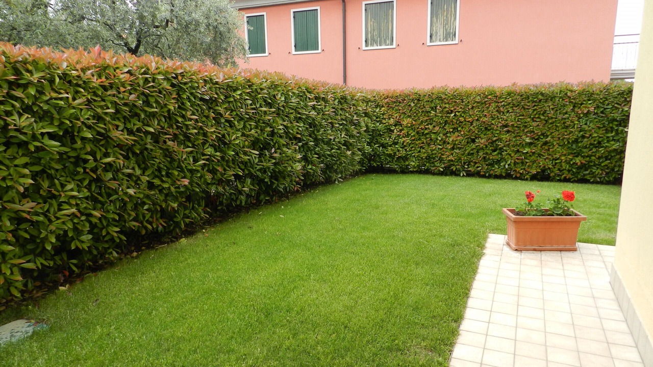 Photo of Outdoor in Montioni