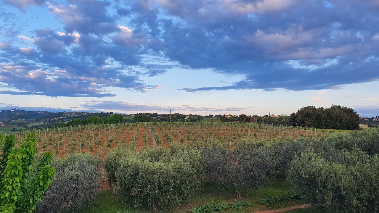 Photo of Outdoor in San Savino