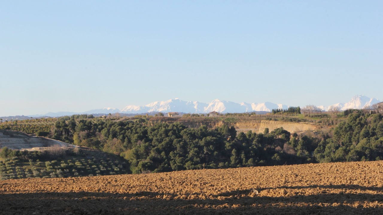 Photo of Others in San Savino