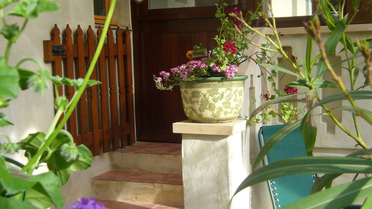 Photo of Outdoor in Cartes