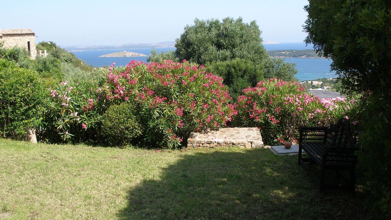 Photo of Outdoor in Porto Cervo