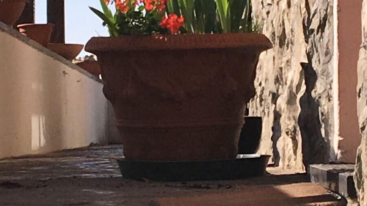 Photo of Outdoor in Stibiveri