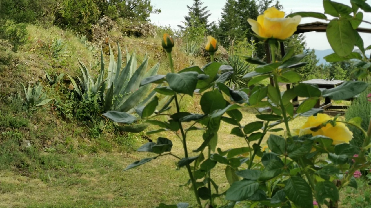 Photo of Outdoor in Stibiveri