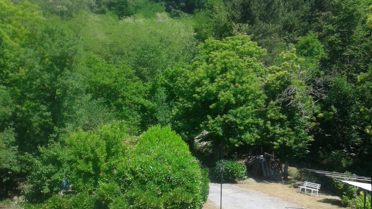 Photo of Outdoor in Stibiveri