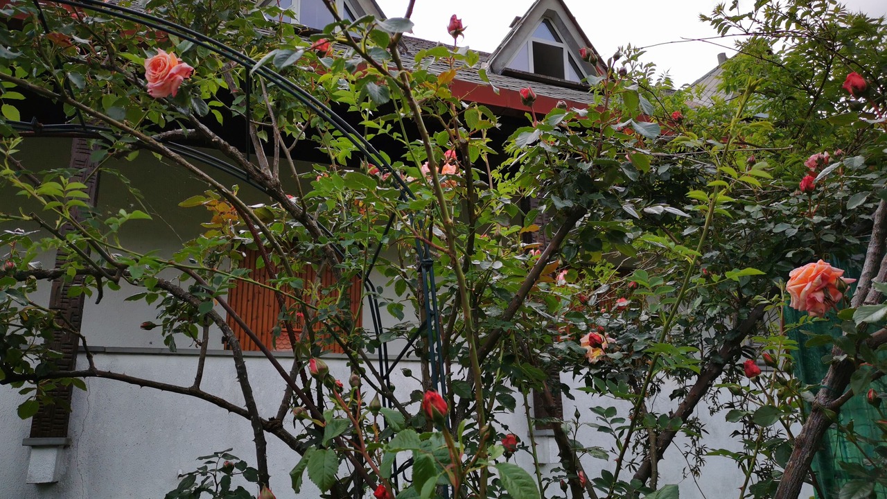 Photo of Outdoor in Stibiveri