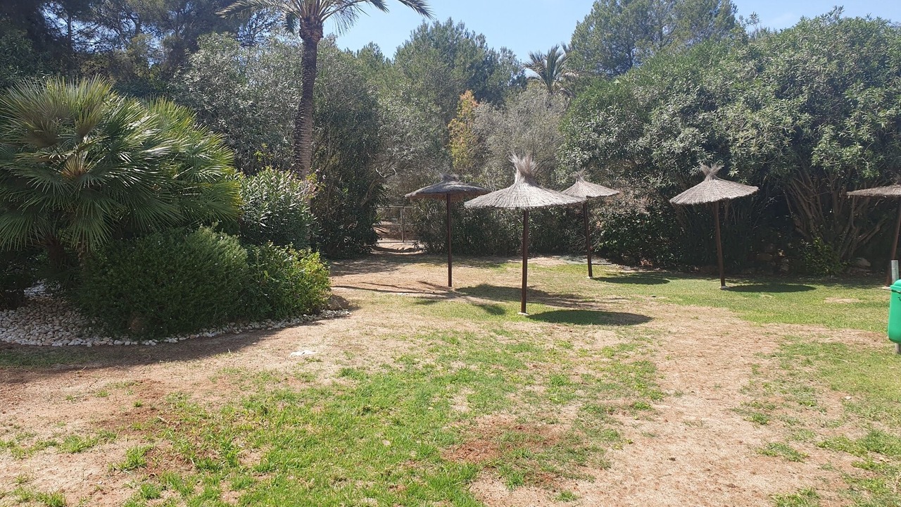 Photo of Outdoor in Diputacion de Rincon de San Gines