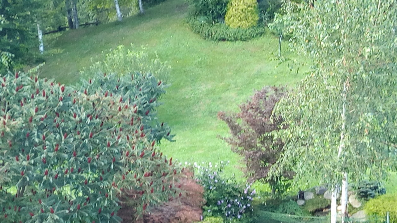 Photo of Outdoor in Chiusa di Pesio