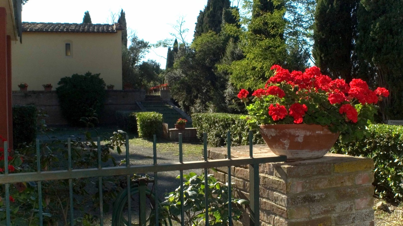 Photo of Outdoor in Toiano