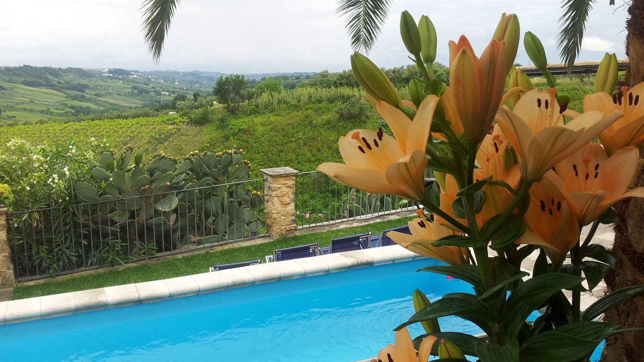 Photo of Outdoor in San Vito Chietino