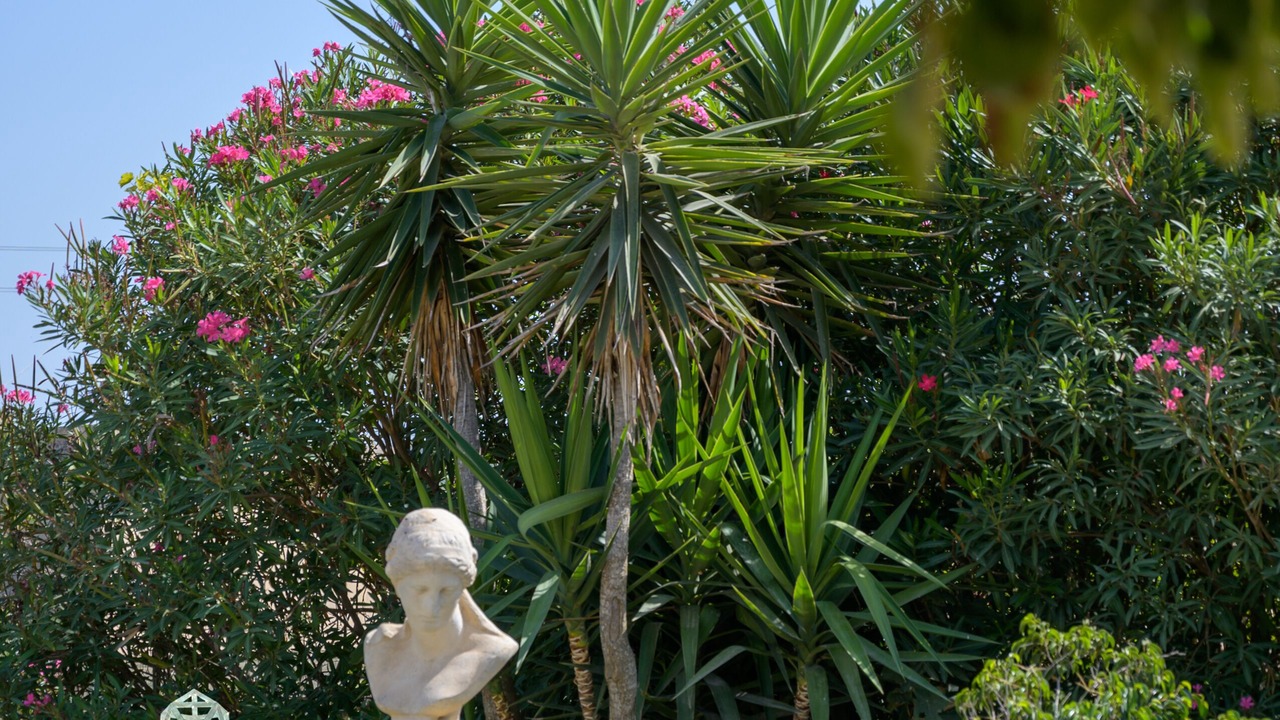 Photo of Outdoor in Scicli