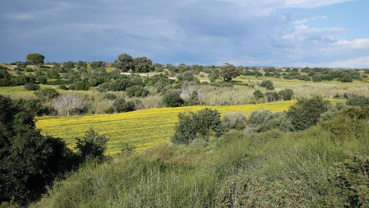 Photo of Others in Ragusa