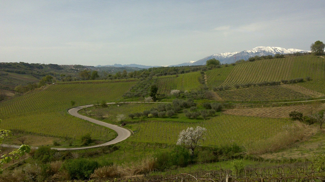 Photo of Others in San Vito Chietino