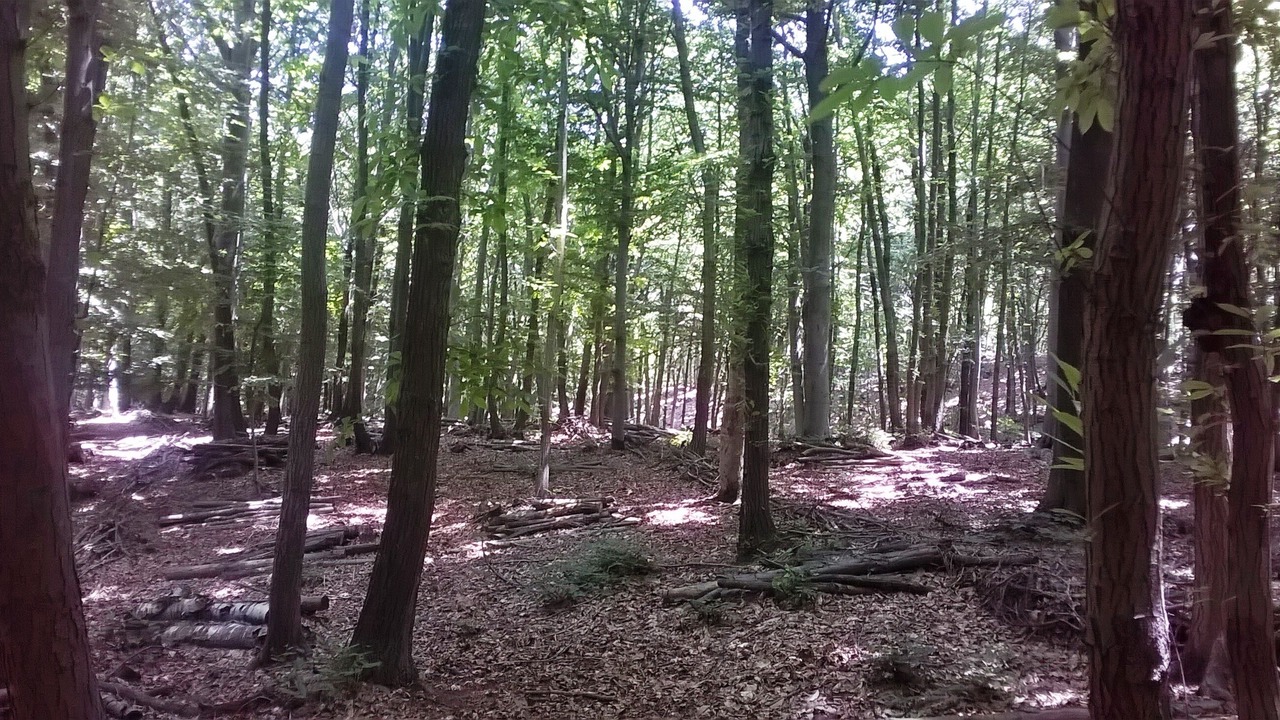 Photo of Outdoor in Castino