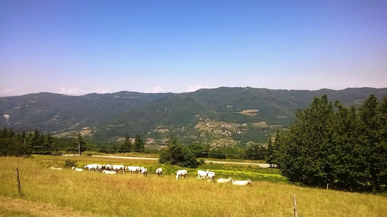 Photo of Outdoor in Castino
