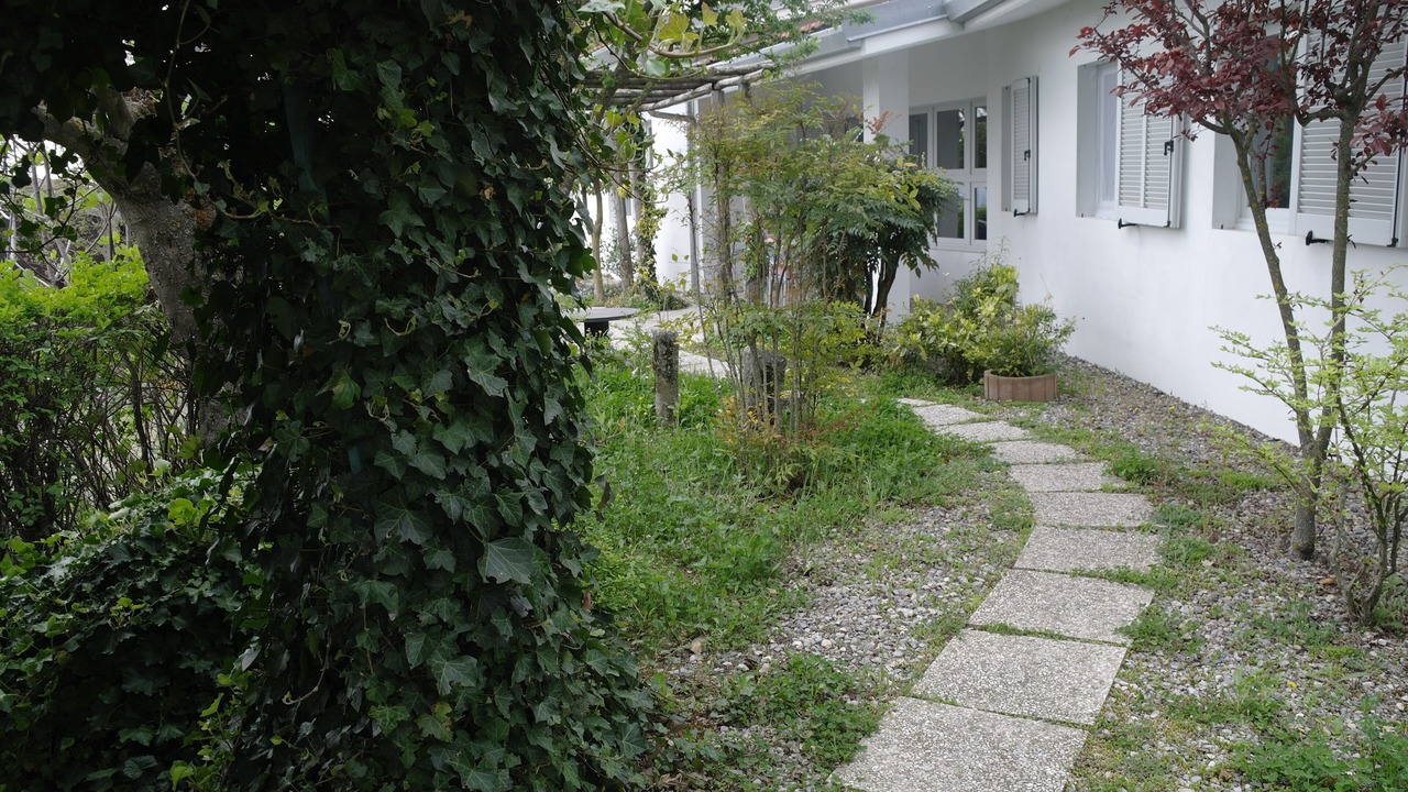 Photo of Outdoor in Castino