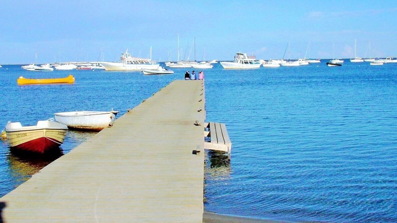 Photo of Others in Torre-Pacheco