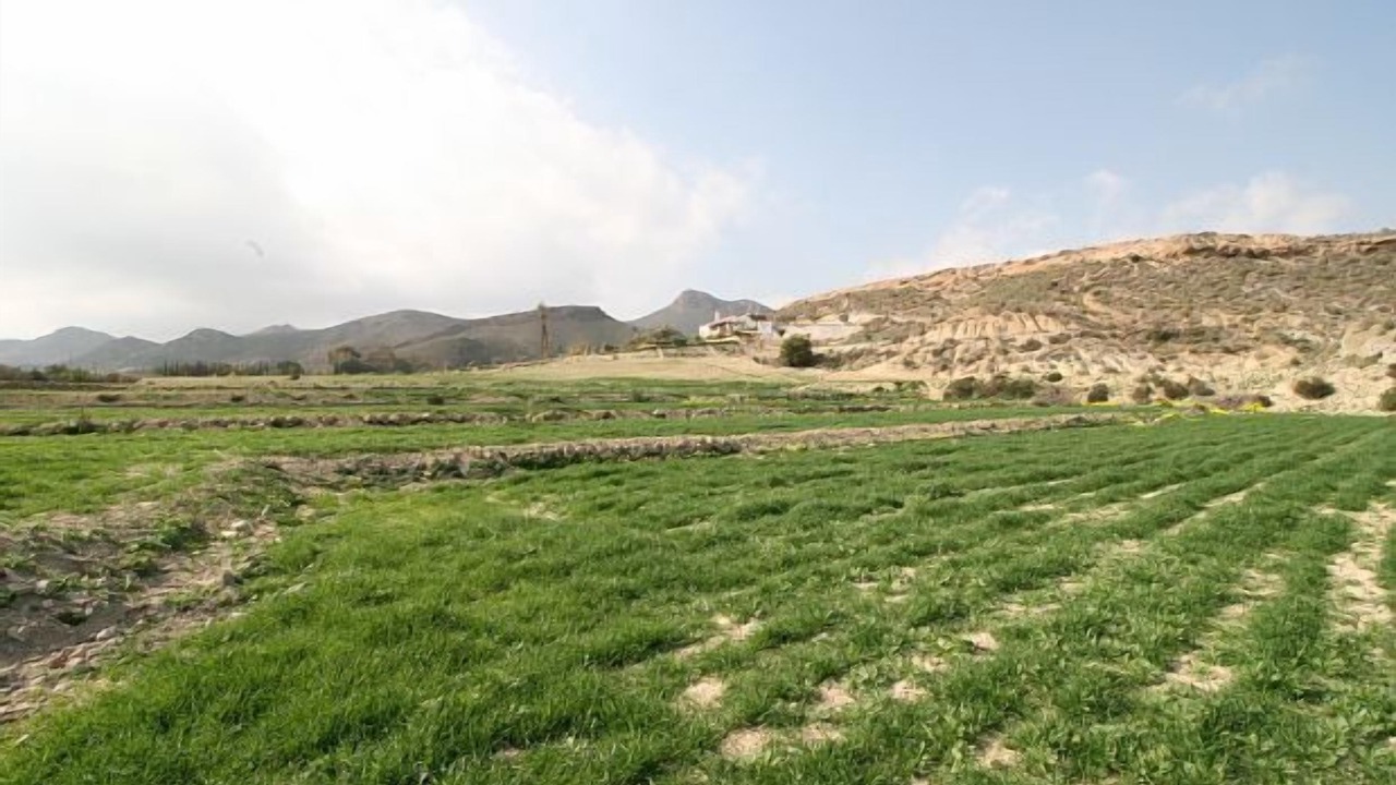Photo of Others in Mazarron