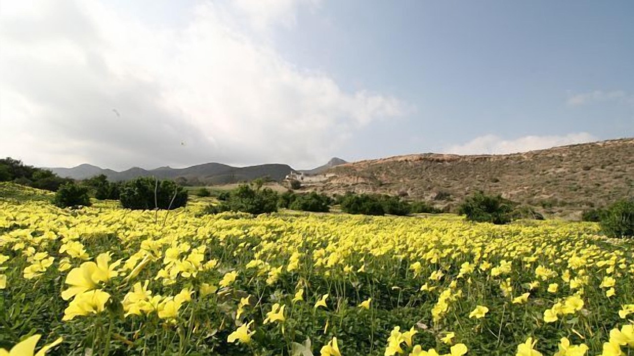 Photo of Outdoor in Mazarron
