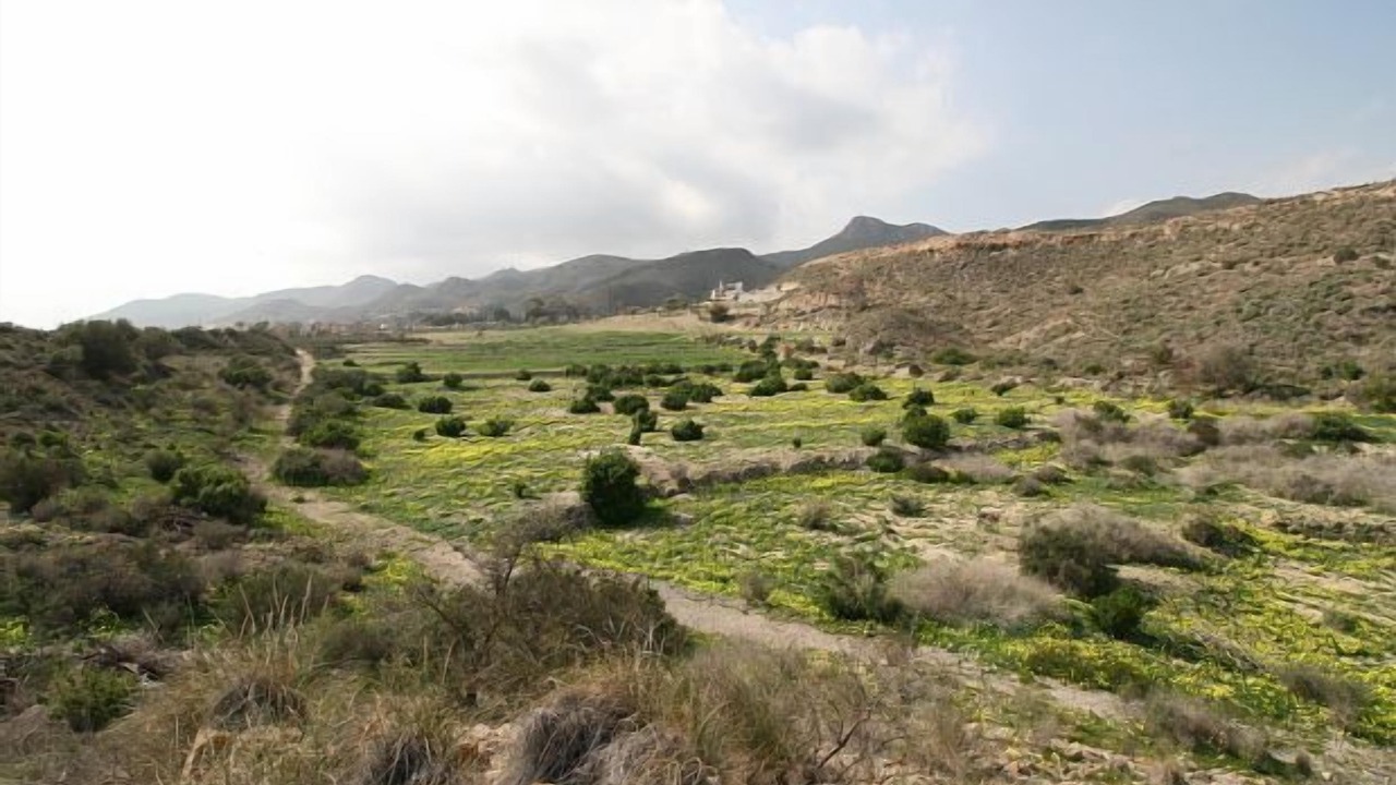 Photo of Others in Mazarron