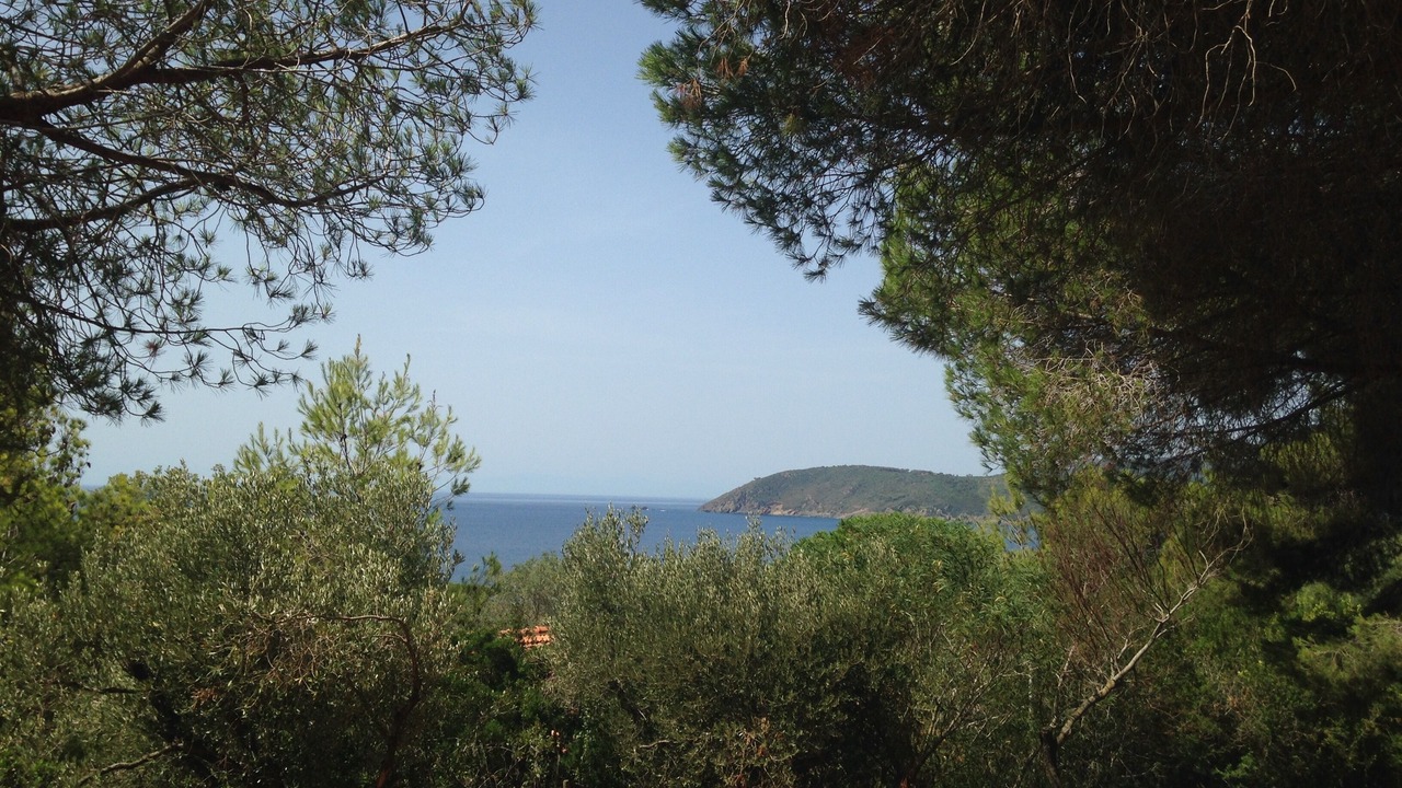Photo of Others in Capoliveri