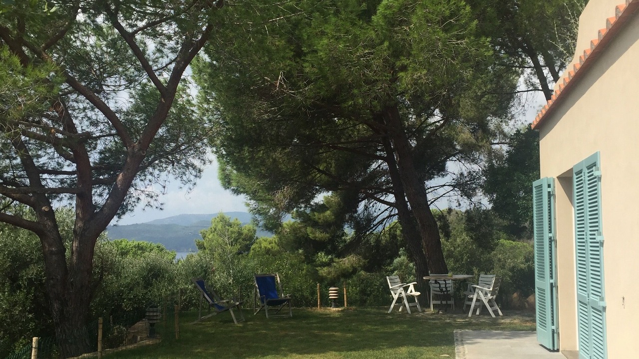 Photo of Outdoor in Capoliveri
