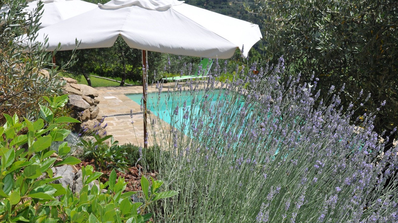 Photo of Outdoor in Cortona