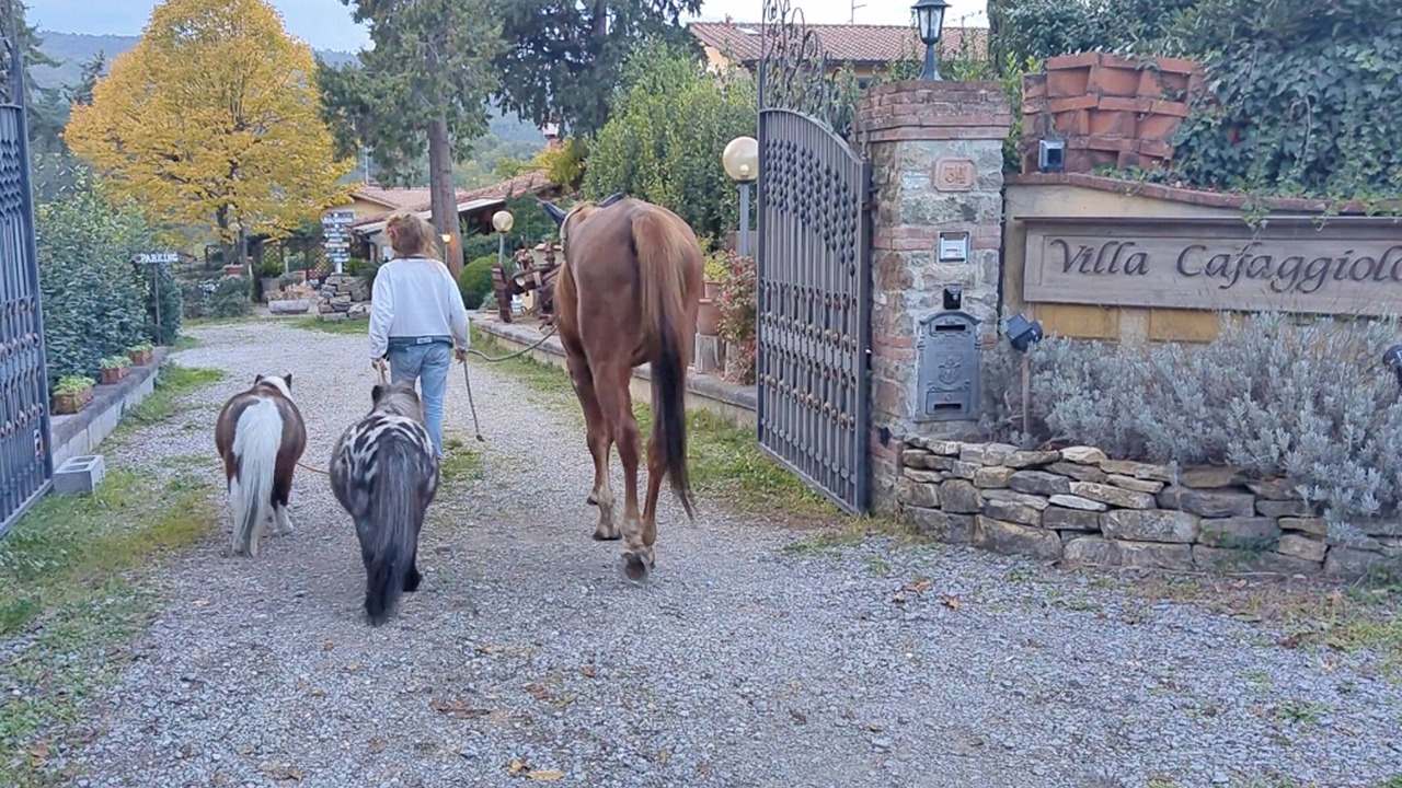 Photo of Others in Rignano sull'Arno