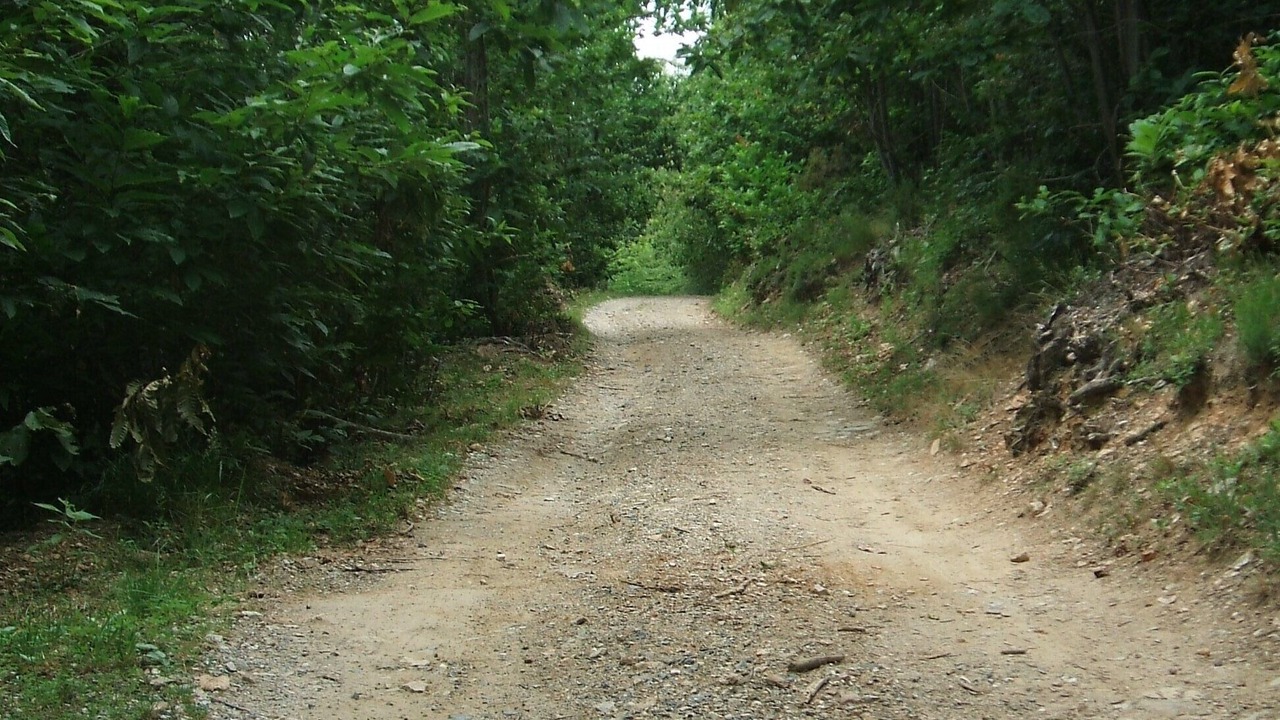 Photo of Outdoor in Orco Feglino