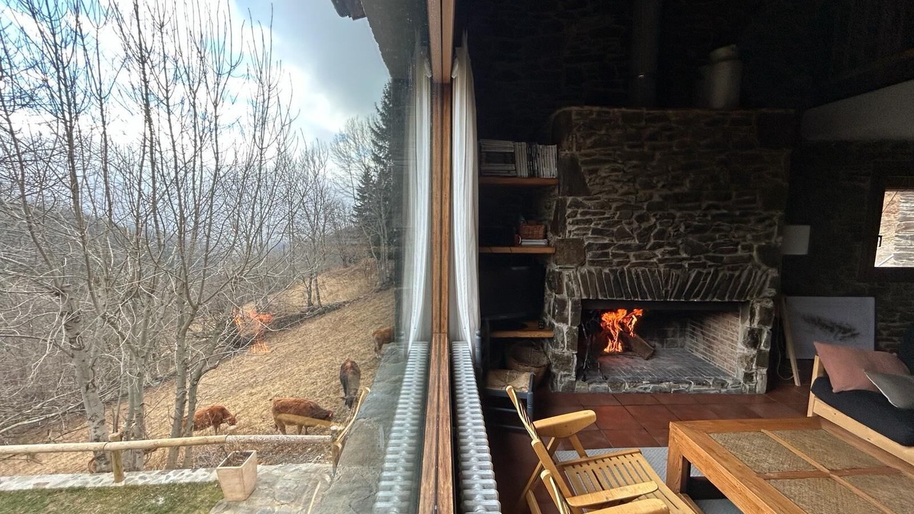 Photo of Outdoor in Mollo