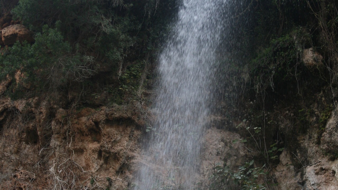 Photo of Outdoor in Navajas