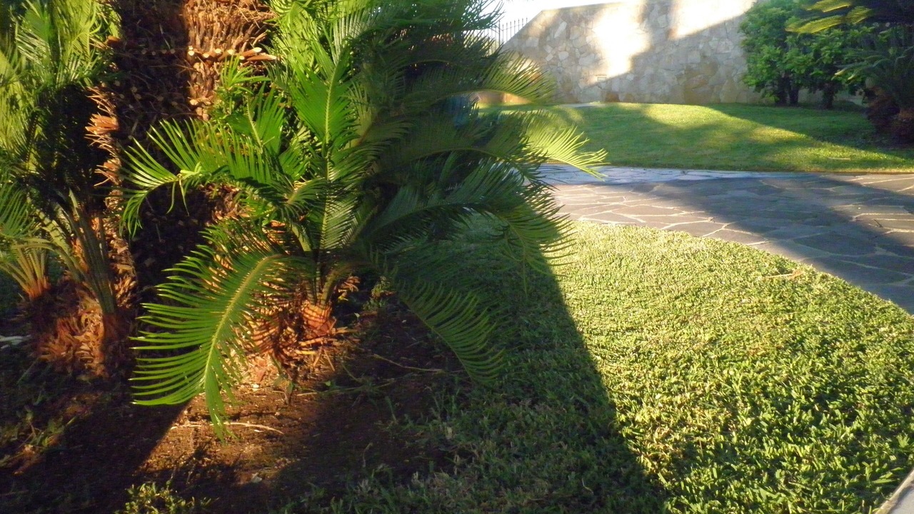 Photo of Outdoor in Torre dell'Orso