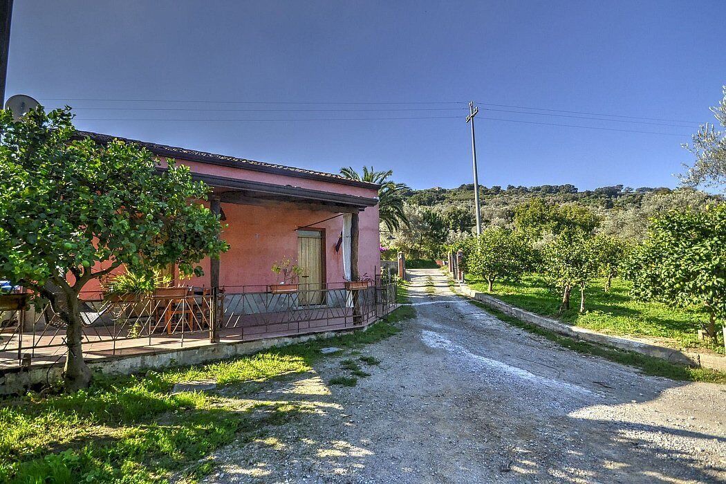 Photo of Outdoor in Mirto