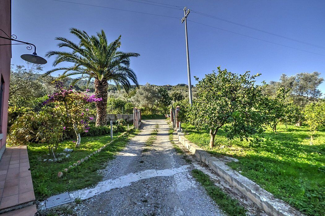 Photo of Outdoor in Mirto