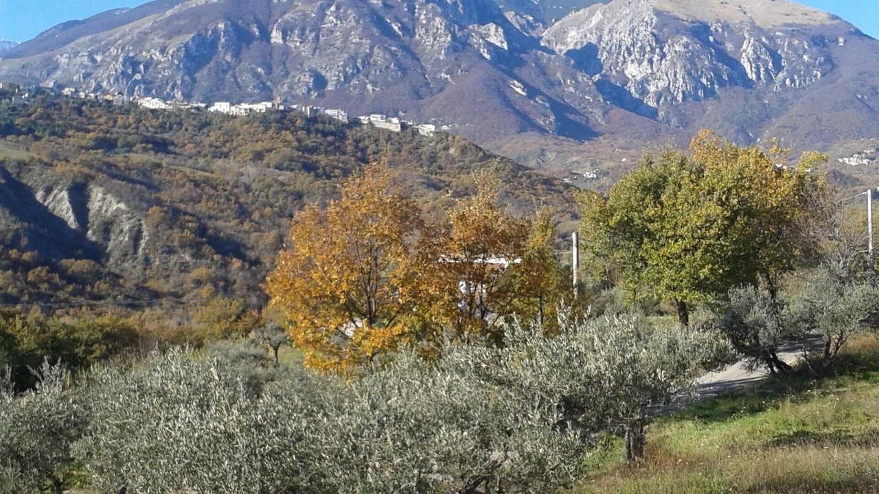 Photo of Outdoor in Palombaro