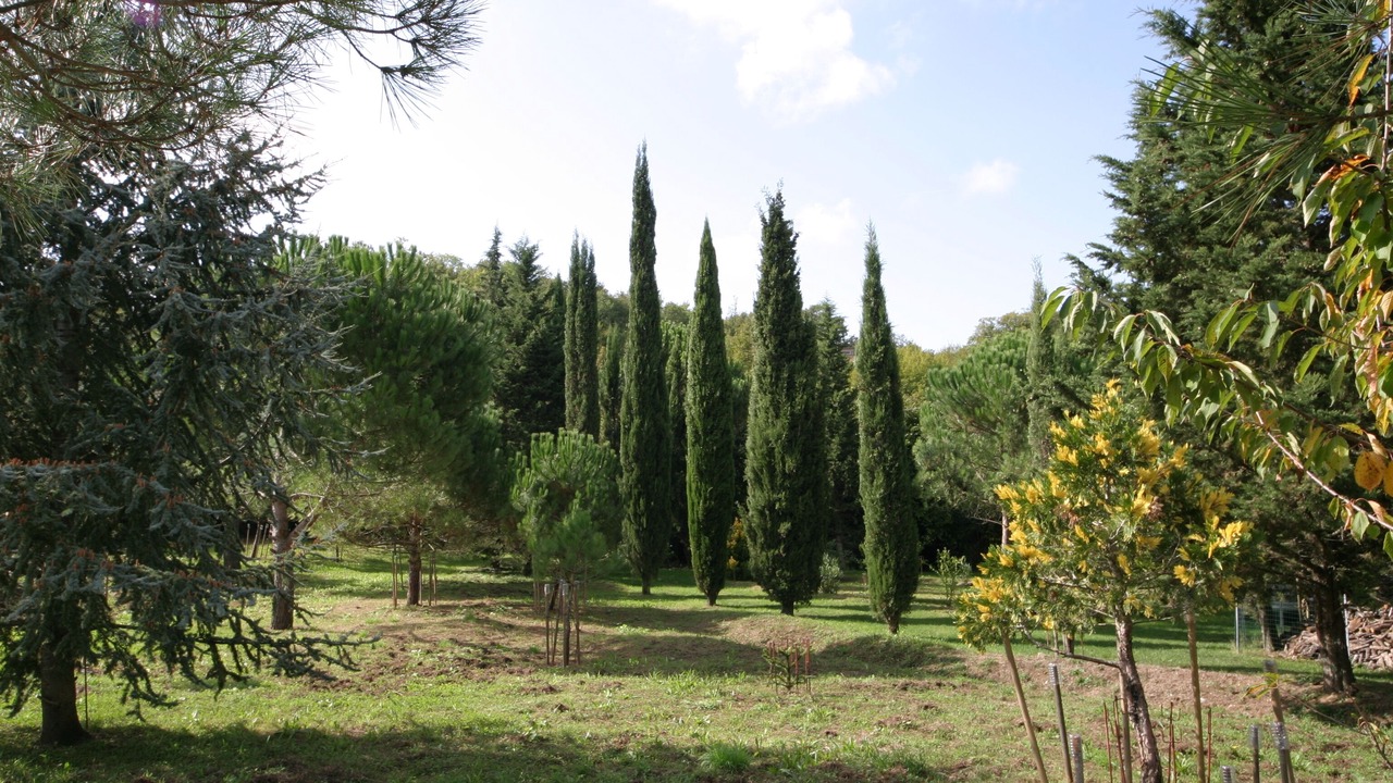 Photo of Outdoor in Montieri