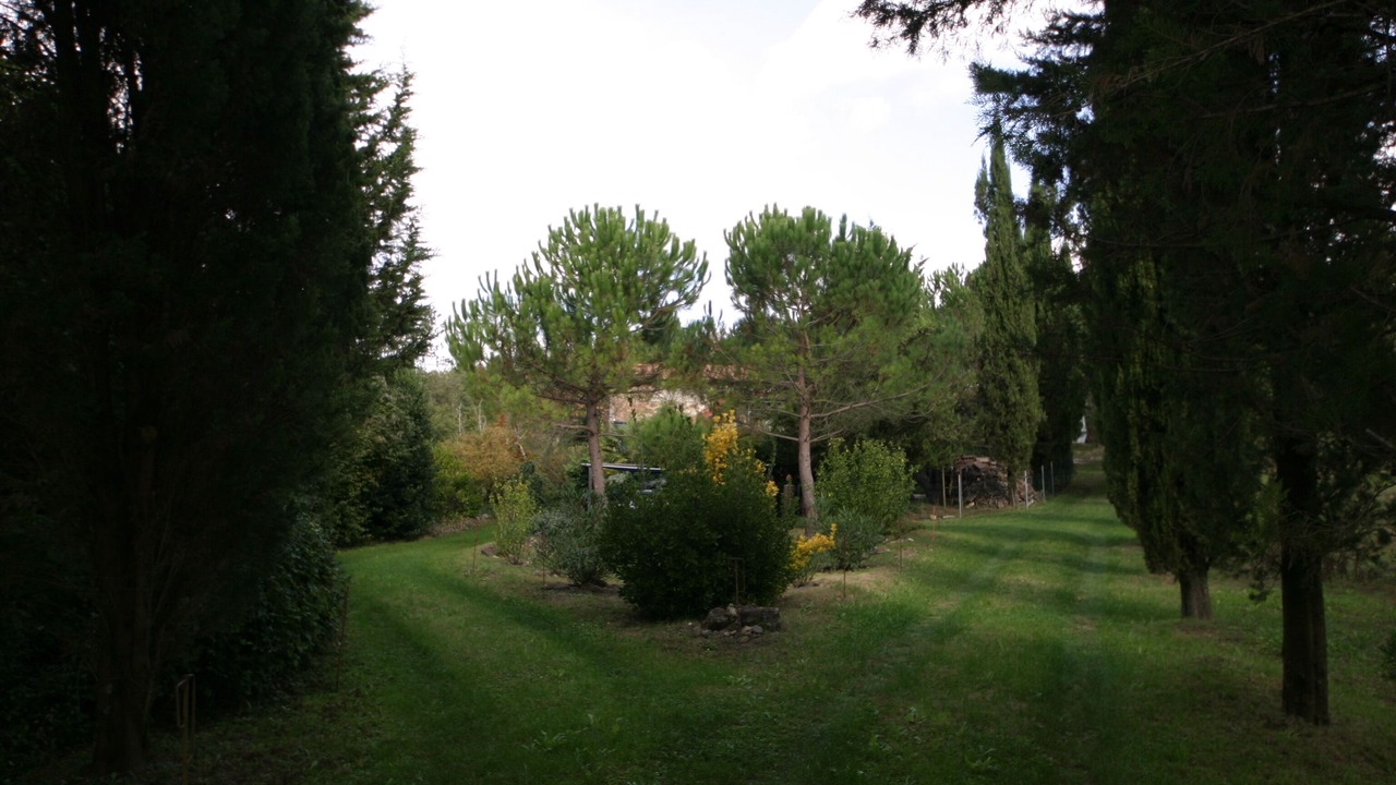 Photo of Outdoor in Montieri