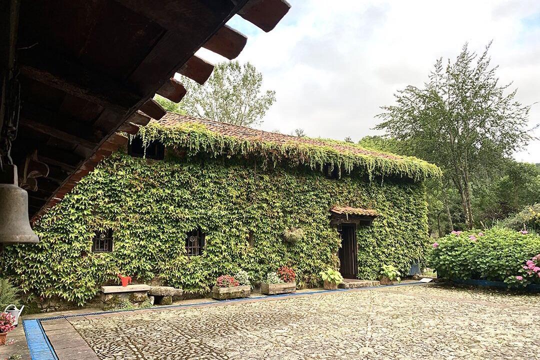 Photo of Outdoor in Valle de Cabuerniga