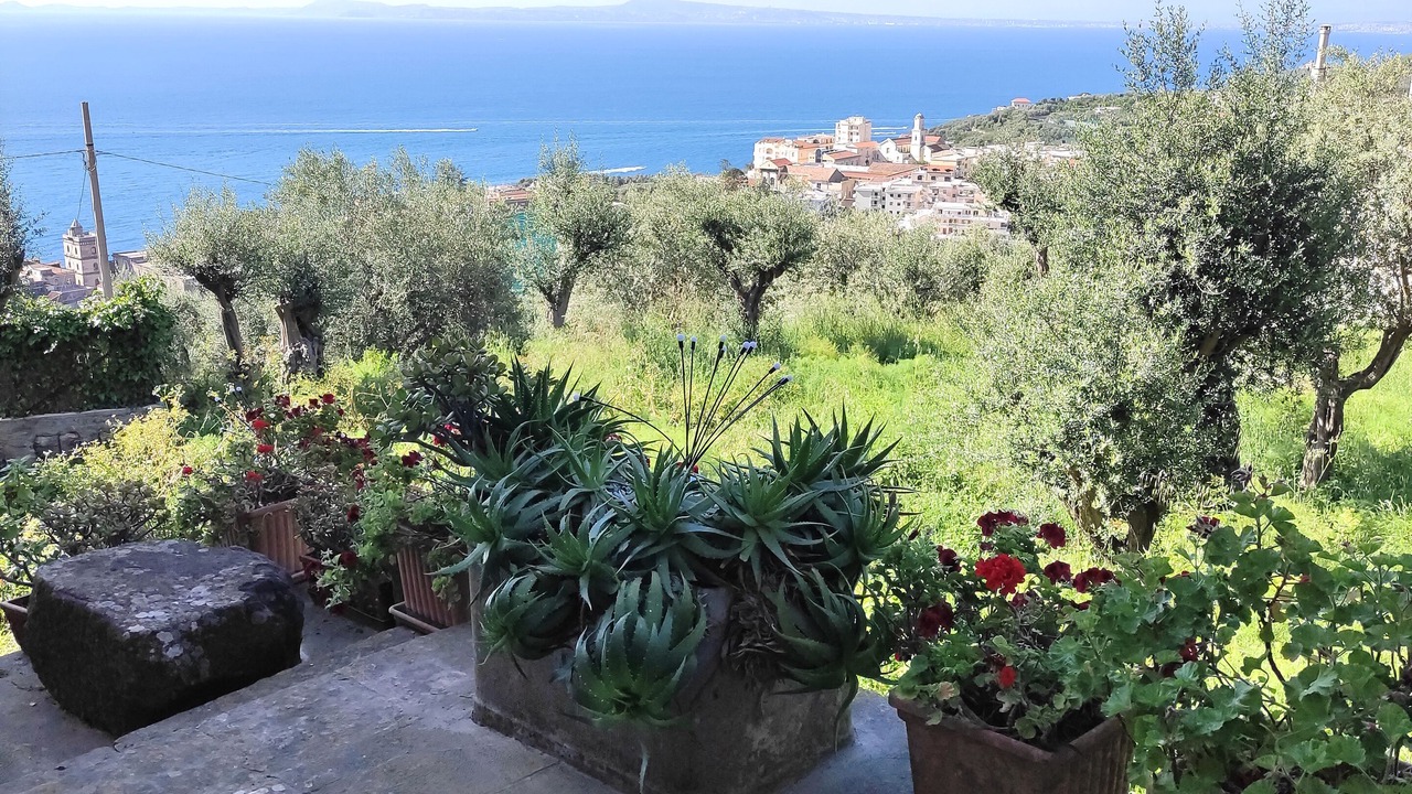 Photo of Outdoor in Massa Lubrense