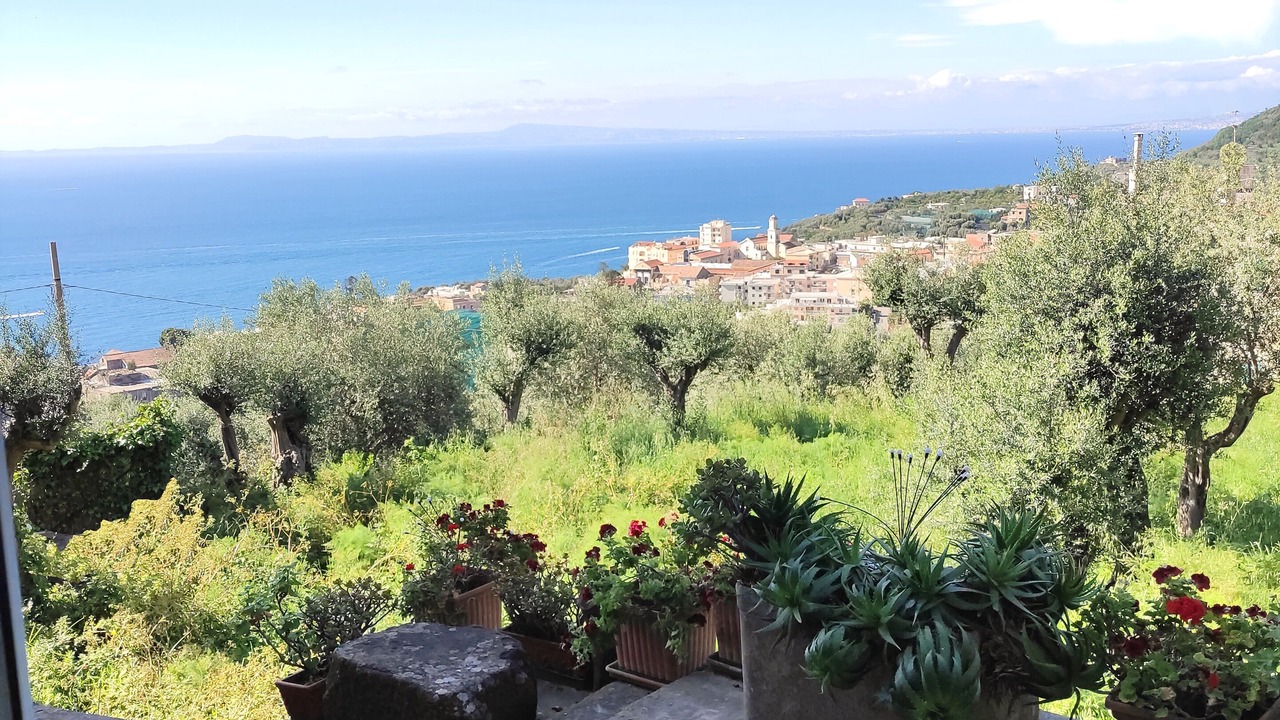 Photo of Outdoor in Massa Lubrense