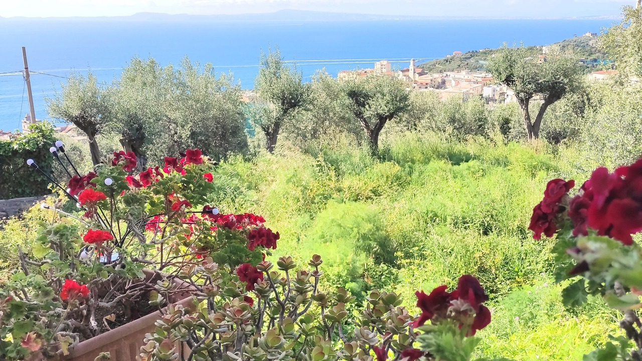 Photo of Outdoor in Massa Lubrense