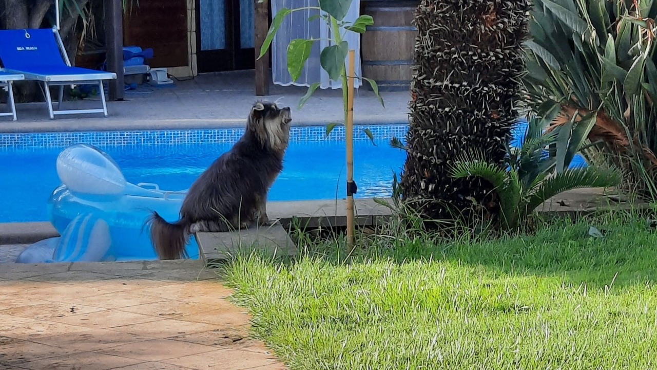 Photo of Outdoor in Cerveteri