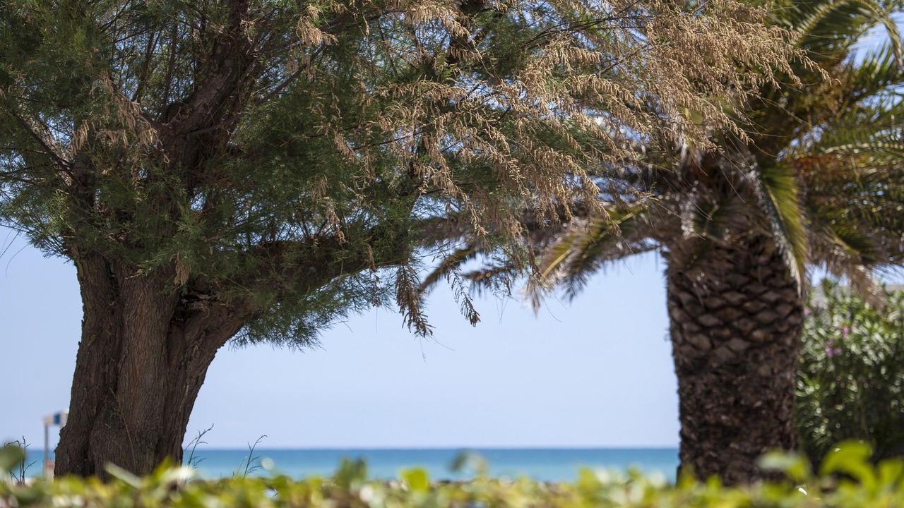 Photo of Outdoor in Porto San Giorgio
