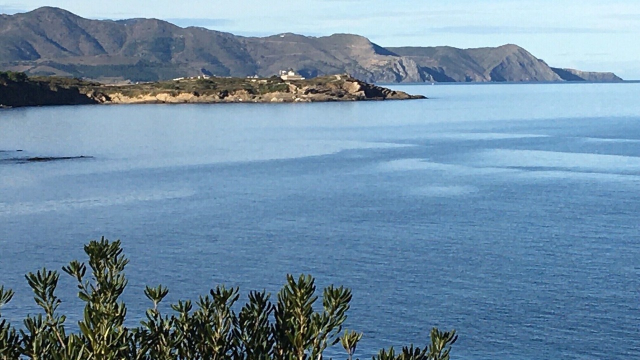 Photo of Others in Port de la Selva