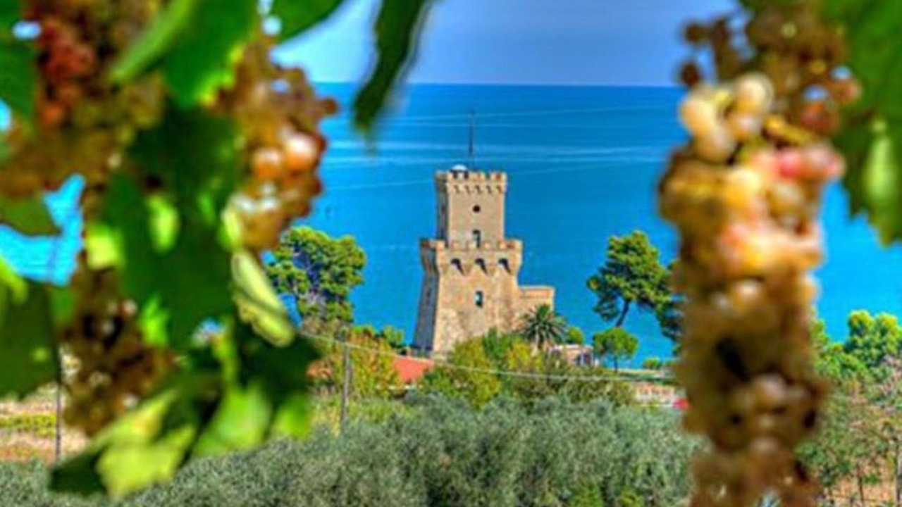 Photo of Outdoor in Catignano