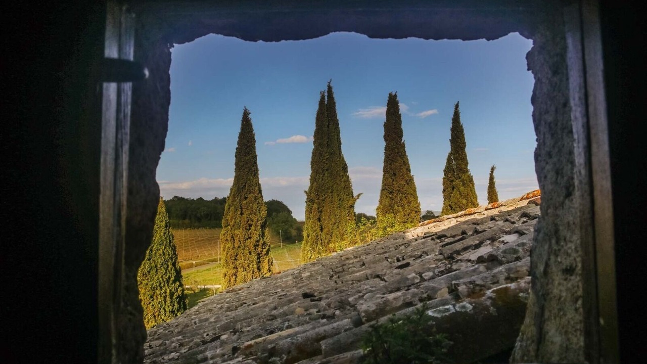 Photo of Others in Orvieto