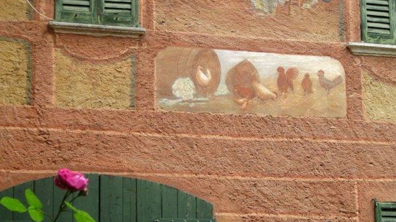 Photo of Outdoor in Crabbia