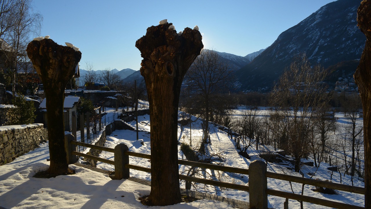 Photo of Outdoor in Montecrestese