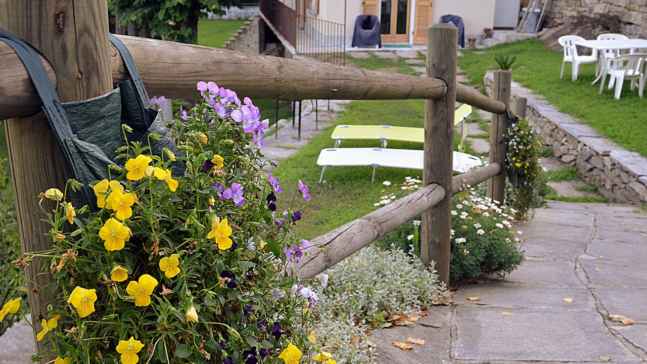 Photo of Outdoor in Montecrestese
